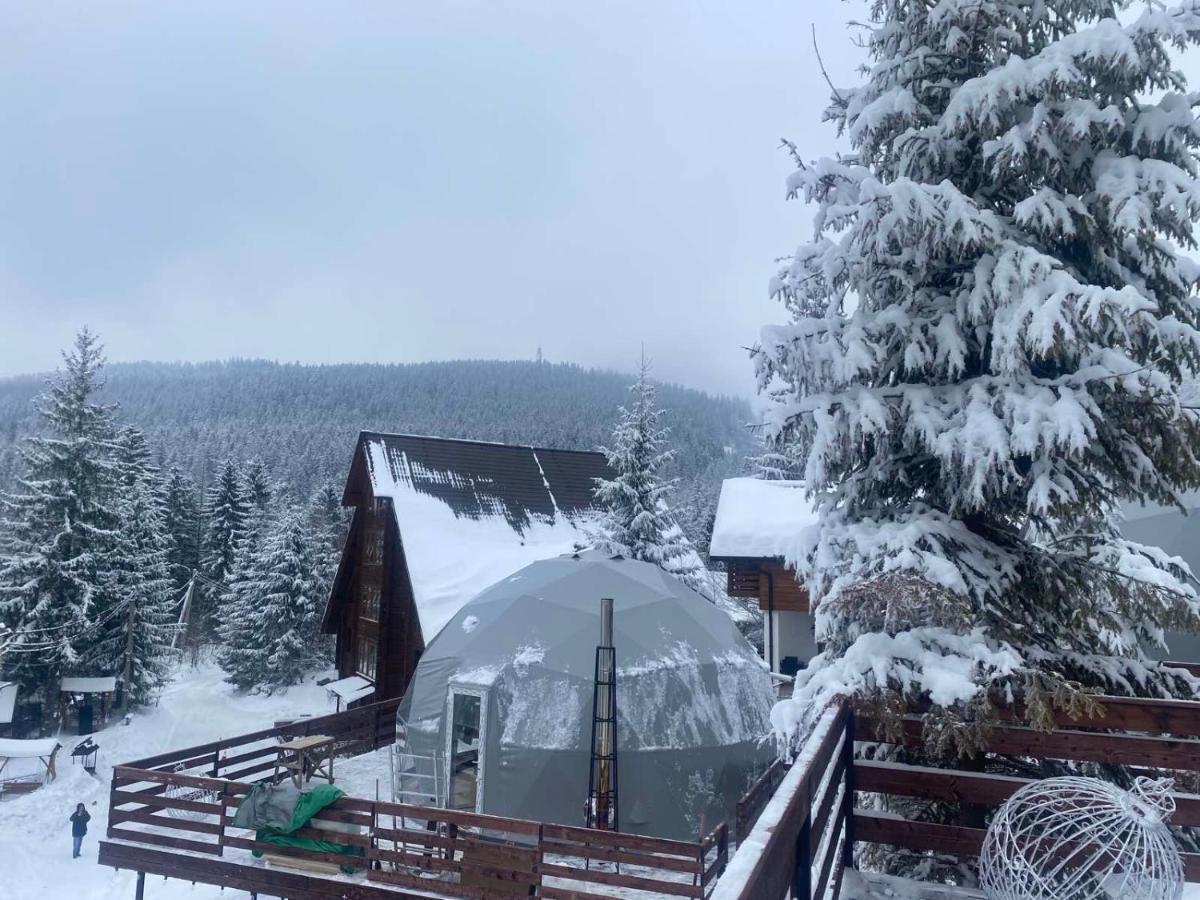 Karpatski Dzherela Yaremche Exterior foto