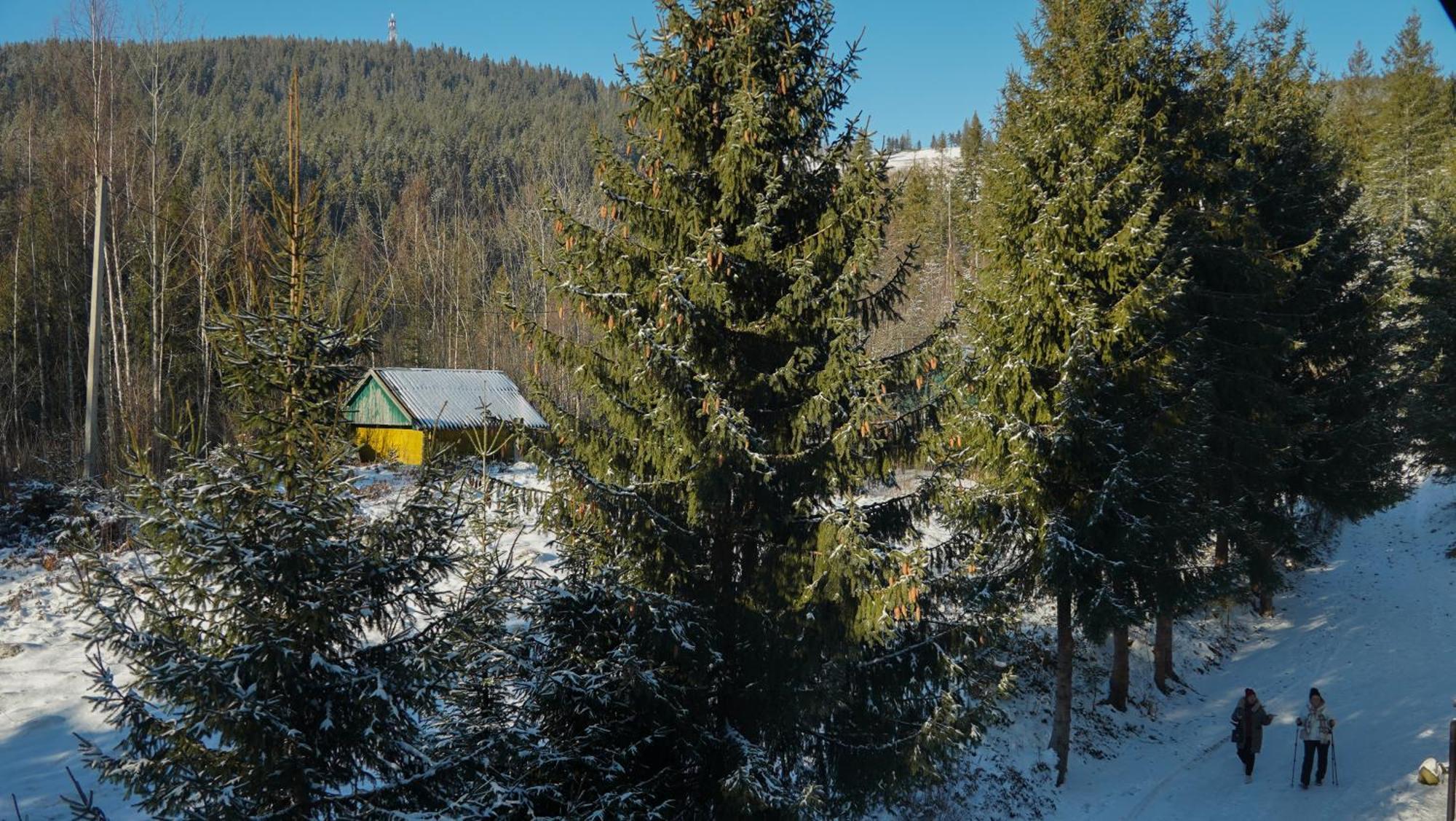 Karpatski Dzherela Yaremche Exterior foto