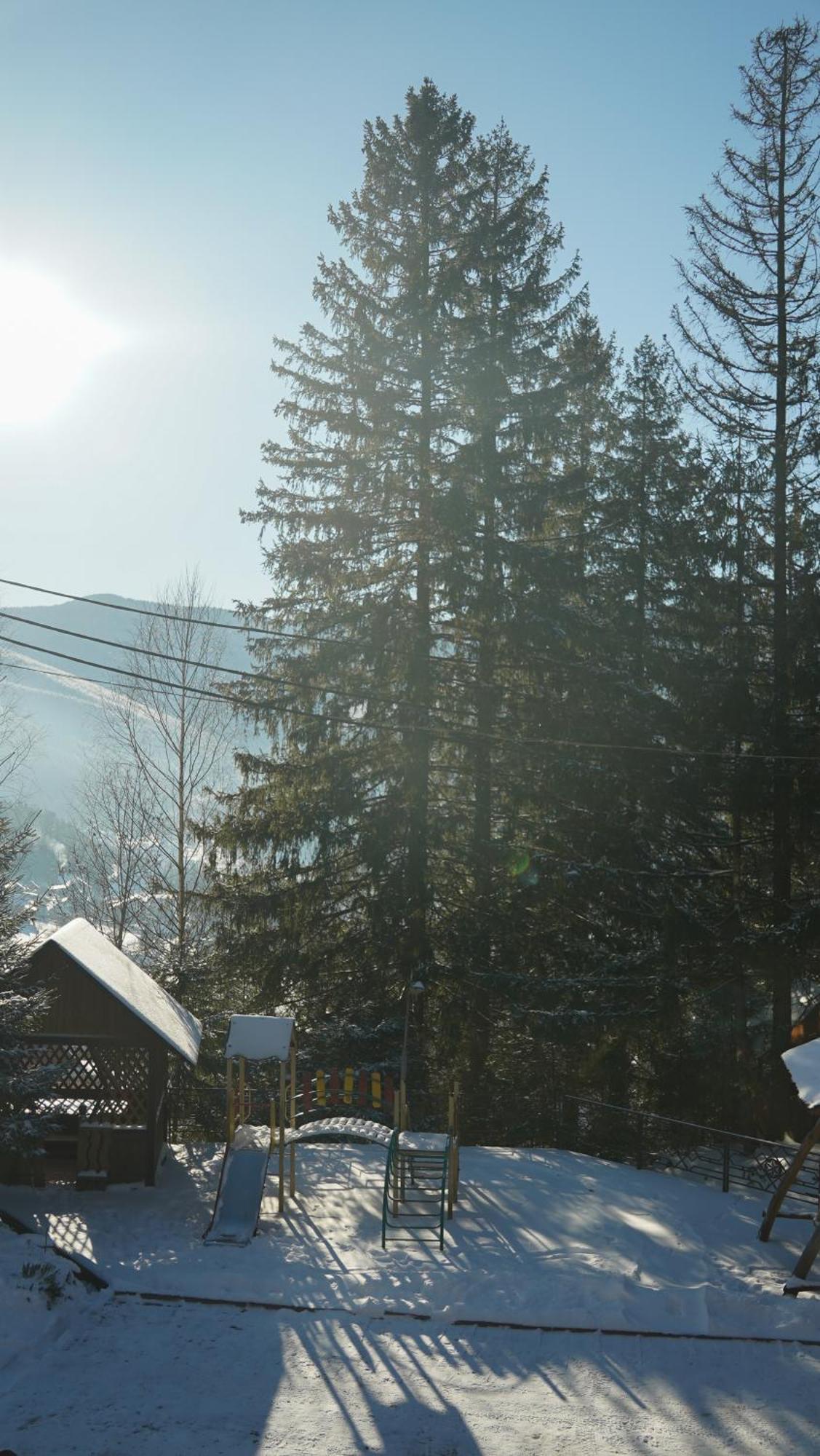 Karpatski Dzherela Yaremche Exterior foto