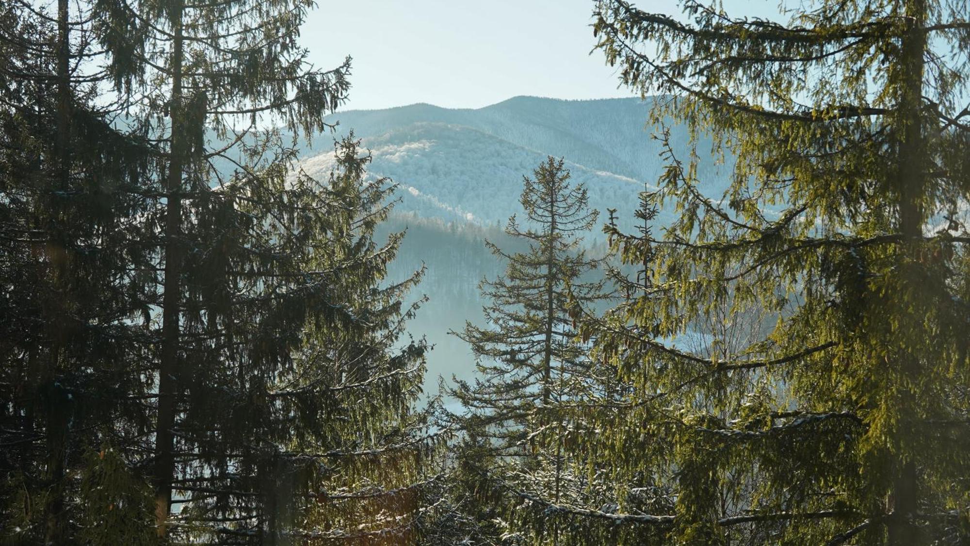 Karpatski Dzherela Yaremche Exterior foto